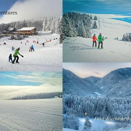 Elizabeth - With Garden