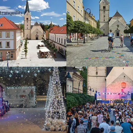 Elizabeth - With Garden