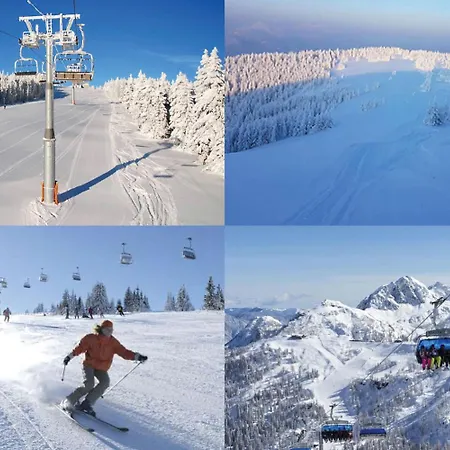 Elizabeth - With Garden *