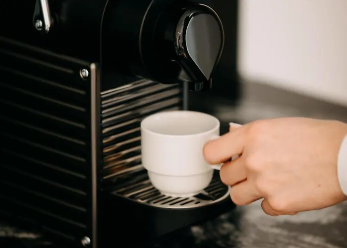 Elizabeth - With Garden Slovenj Gradec