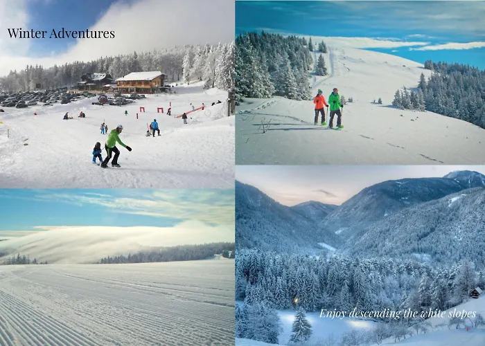 Elizabeth - With Garden